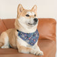 Nightmare Pet Bandana Collar